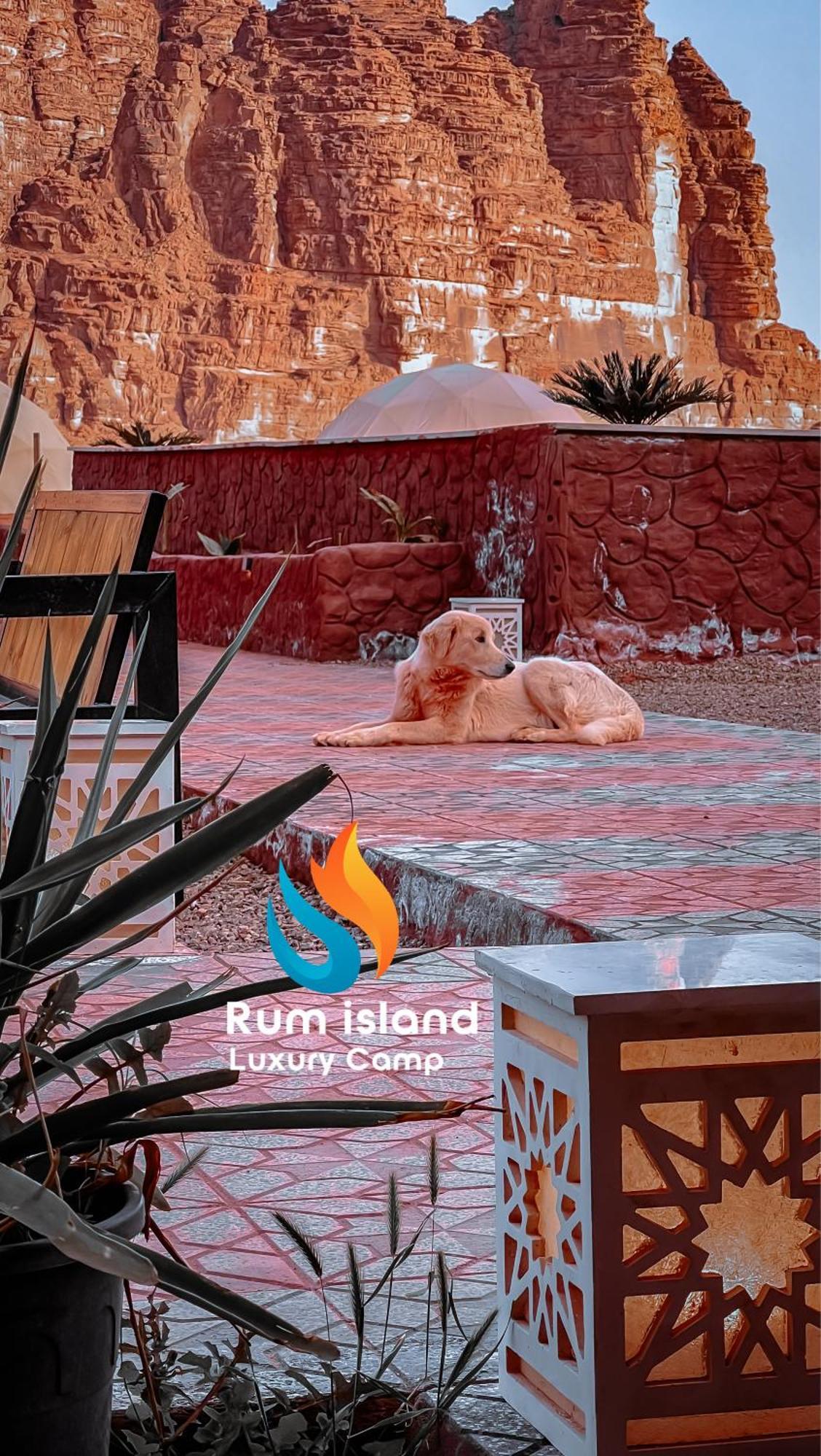 Rum Island Luxury Camp & Bubbles Hotel 瓦迪拉姆 外观 照片